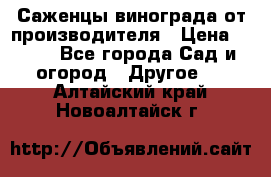 Саженцы винограда от производителя › Цена ­ 800 - Все города Сад и огород » Другое   . Алтайский край,Новоалтайск г.